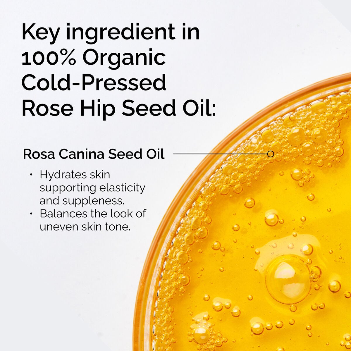 100-organic-cold-pressed-rose-hip-seed-oil-o4 FY25-D41247-ORD-Web-PDP-100-Rose-Hip-Oil-1x1-EN-2.jpg