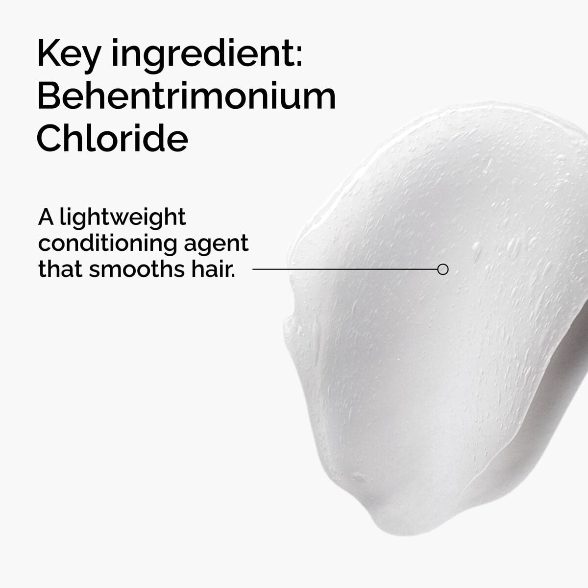 behentrimonium-chloride-2-conditioner-t8 FY25-D41247-ORD-Web-PDP-BTC-1x1-EN-2a.jpg