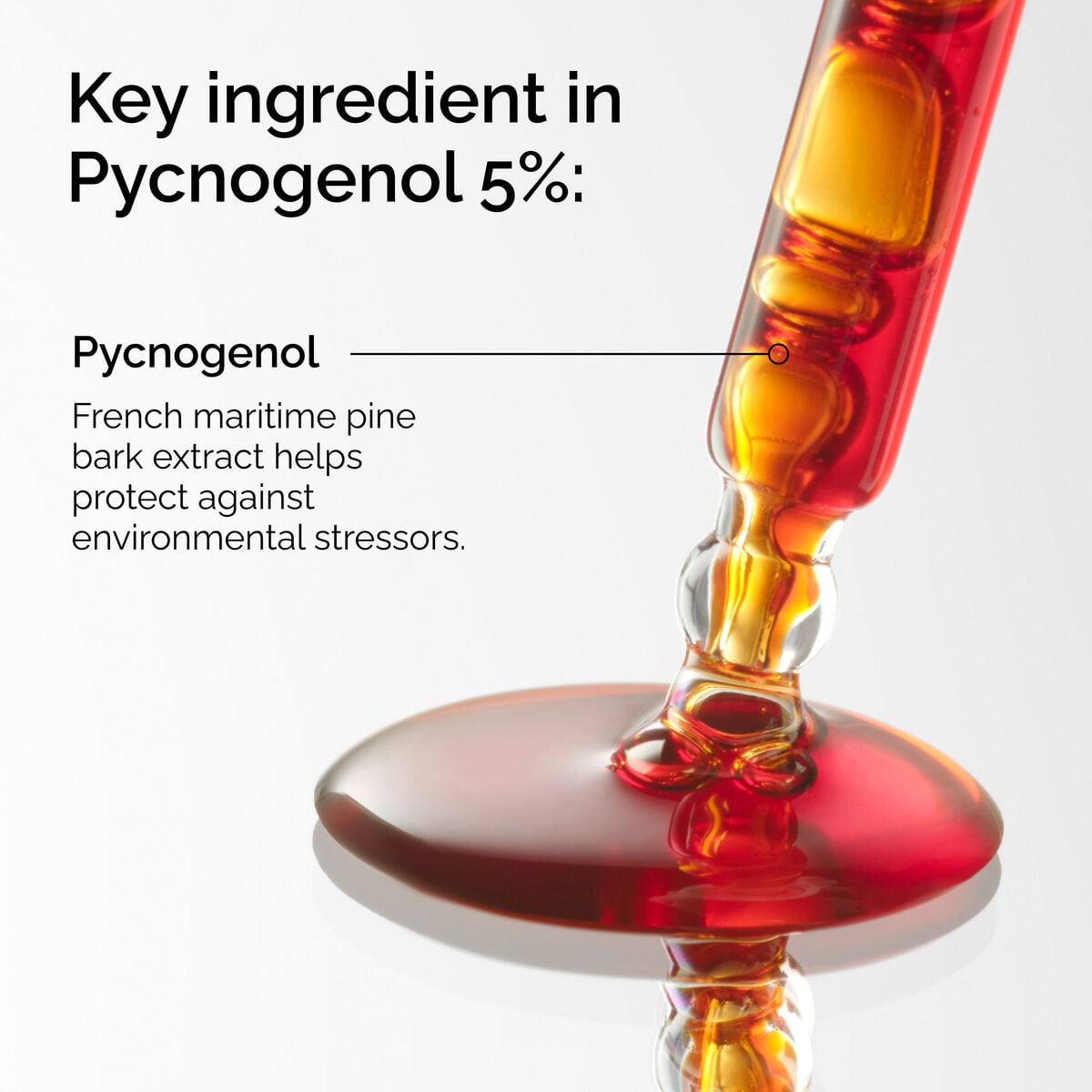 pycnogenol-5-m7 FY25-D41247-ORD-Web-PDP-Pyc-5pct-1x1-EN-2a.jpg