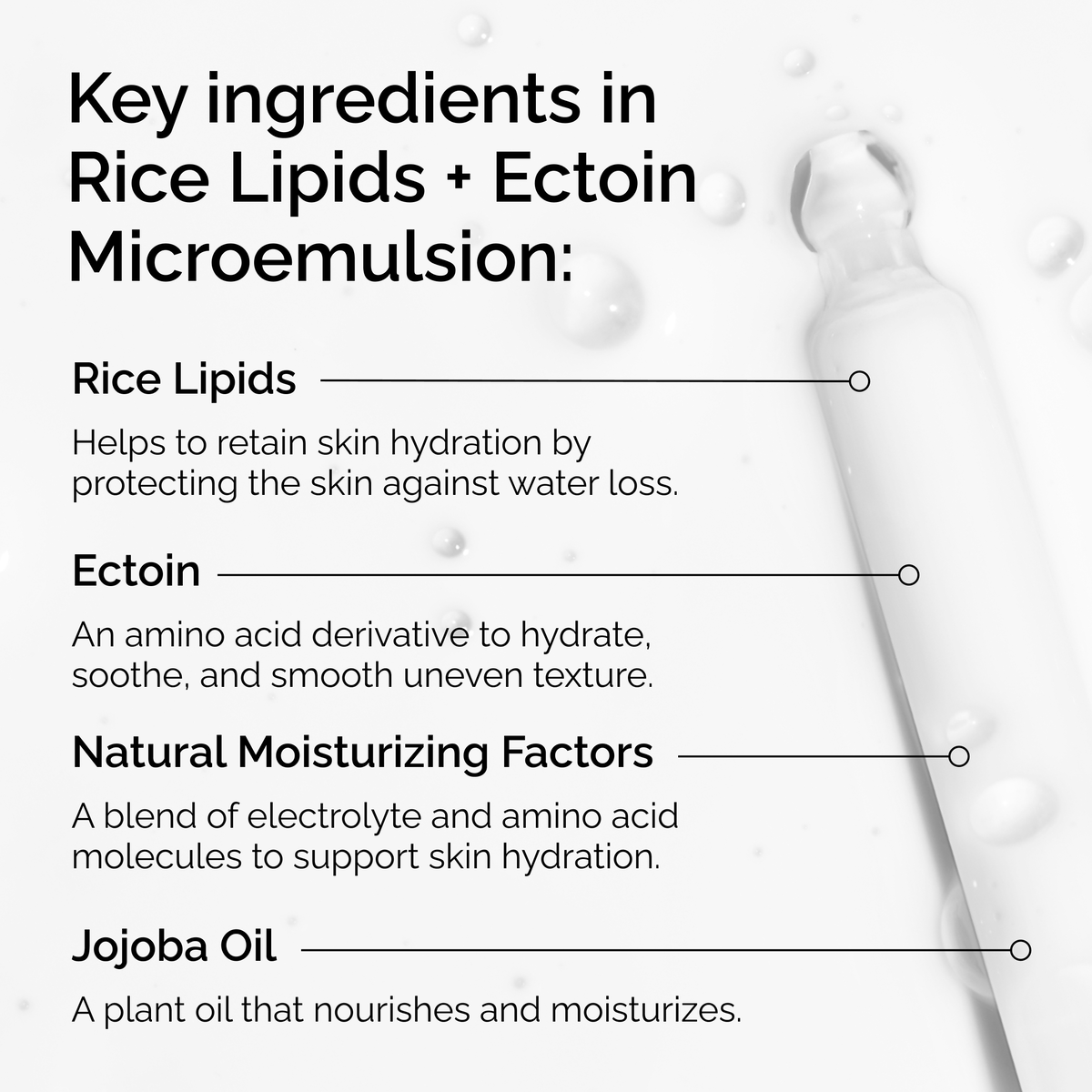 rice-lipids-ectoin-microemulsion-n2 ord-rice-lipids-ectoin-microemulsion-key-ingredients.png
