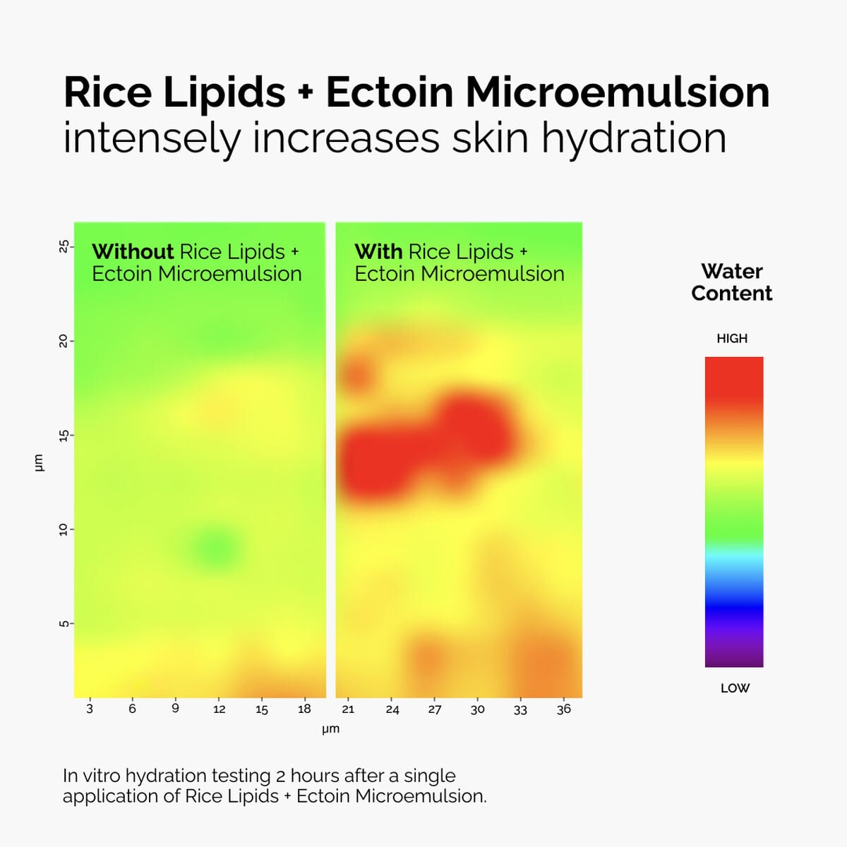 rice-lipids-ectoin-microemulsion-n2 ord-rice-lipids-ectoin-microemulsion-thermal-before-after.jpg